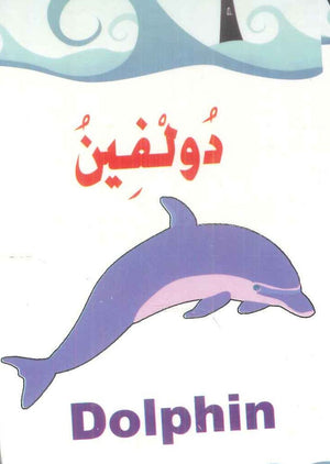 سلسلة البطاقات التعريفية 9: الكائنـــات البحريـــــة منتجات أطفال | BookBuzz.Store