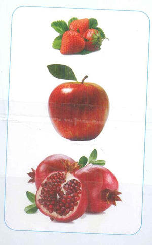 سلسلة بطاقات العلاقات 6: أسئلة الذاكرة منتجات أطفال | BookBuzz.Store