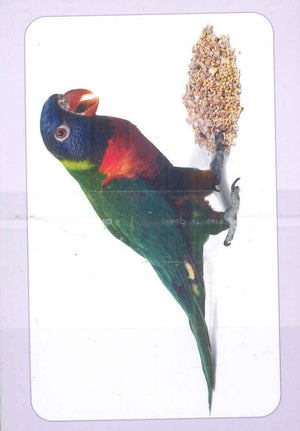 سلسلة بطاقات العلاقات 3: طعام الطيور منتجات أطفال | BookBuzz.Store