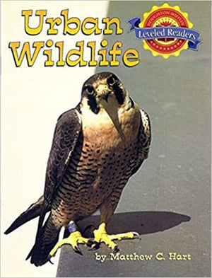 Urban-Wildlife-BookBuzz.Store-Cairo-Egypt-793