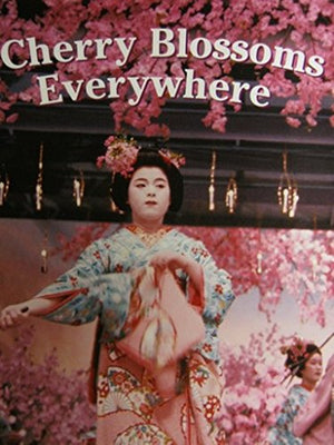 CHERRY-BLOSSOMS-EVERYWHERE-BookBuzz.Store