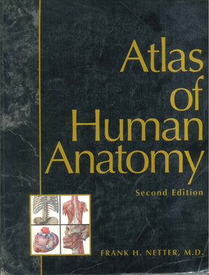 Atlas of Human Anatomy Frank H. Netter Medical Books | BookBuzz.Store