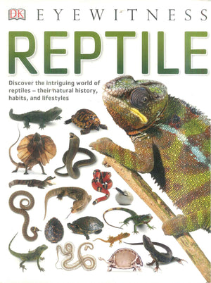 DK Eyewitness Reptile Encyclopedias Youth | BookBuzz.Store