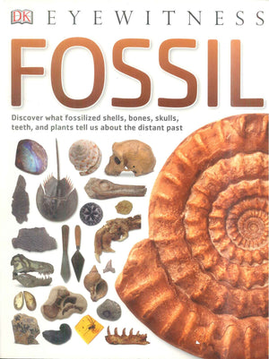 DK Eyewitness Fossil Encyclopedias Youth | BookBuzz.Store