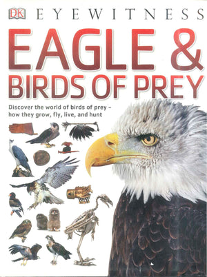 DK Eyewitness Eagle and Birds Of Prey Encyclopedias Youth | BookBuzz.Store