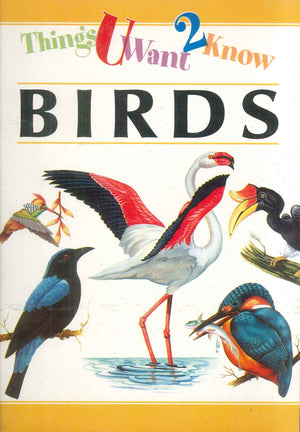 Things You Want to Know Birds Rohan Book Company Children | BookBuzz.Store