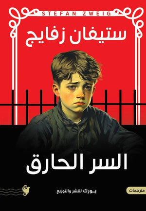 السر الحارق ستيفان زفايج | BookBuzz.Store