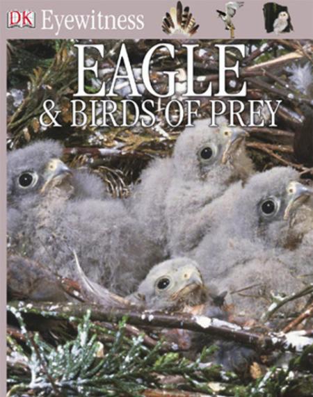 Eyewitness Books: Eagle & Birds Of Prey