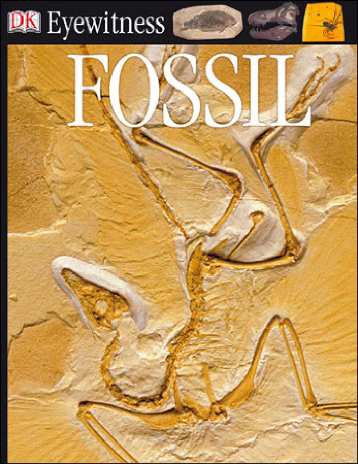 Eyewitness Books:Fossil