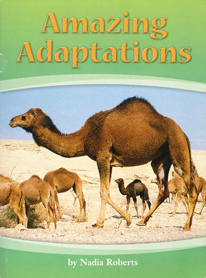 Amazing-Adaptations--BookBuzz.Store-Cairo-Egypt-359