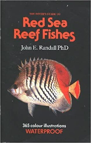 Red-Sea-Reef-Fishes-BookBuzz.Store
