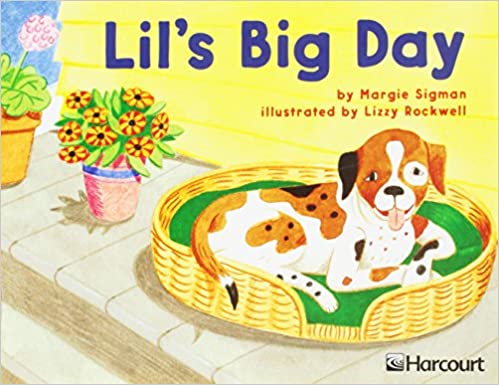 Lil's Big Day