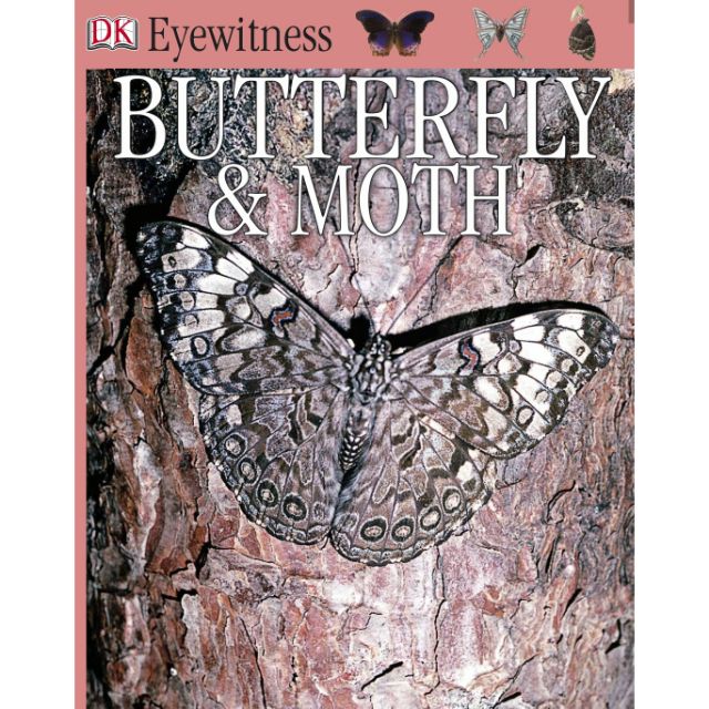 Eyewitness Books: Butterfly & Moth