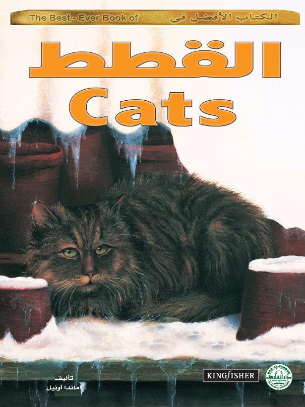 القطط - الكتاب الأفضل في