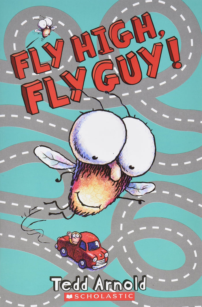 Fly Guy's Fly High, Fly Guy!