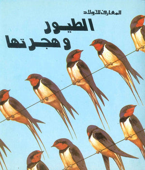 الطيور وهجرتها | BookBuzz.Store