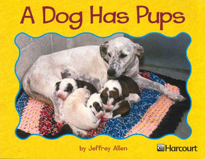 A dog Has Pups Jeffrey Allen BookBuzz.Store