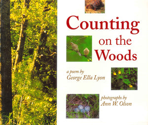 Counting-on-the-Woods-BookBuzz.Store-Cairo-Egypt-444
