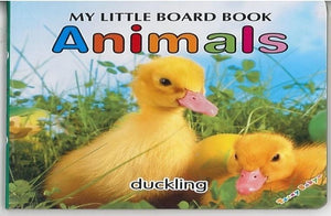 الكتاب-اللوحي-الصغير-الحيوانات--إنجليزية-BookBuzz