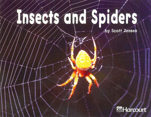 Insects ana Spiders | BookBuzz.Store Cairo Egypt