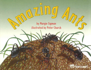 Amazing Ants | BookBuzz.Store Cairo Egypt